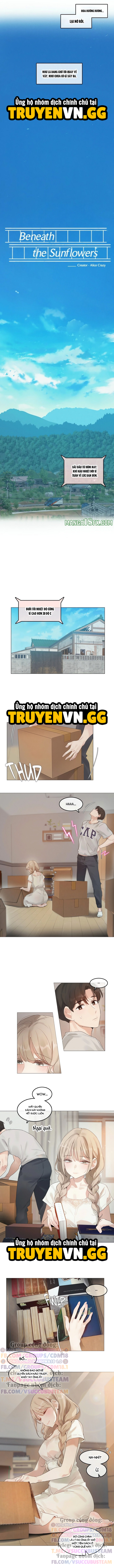 Mùa Hướng Dương Thầm Thì Chapter 1 - Trang 2