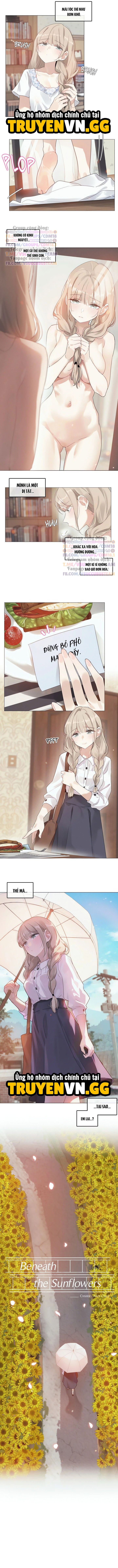 Mùa Hướng Dương Thầm Thì Chapter 3 - Trang 2